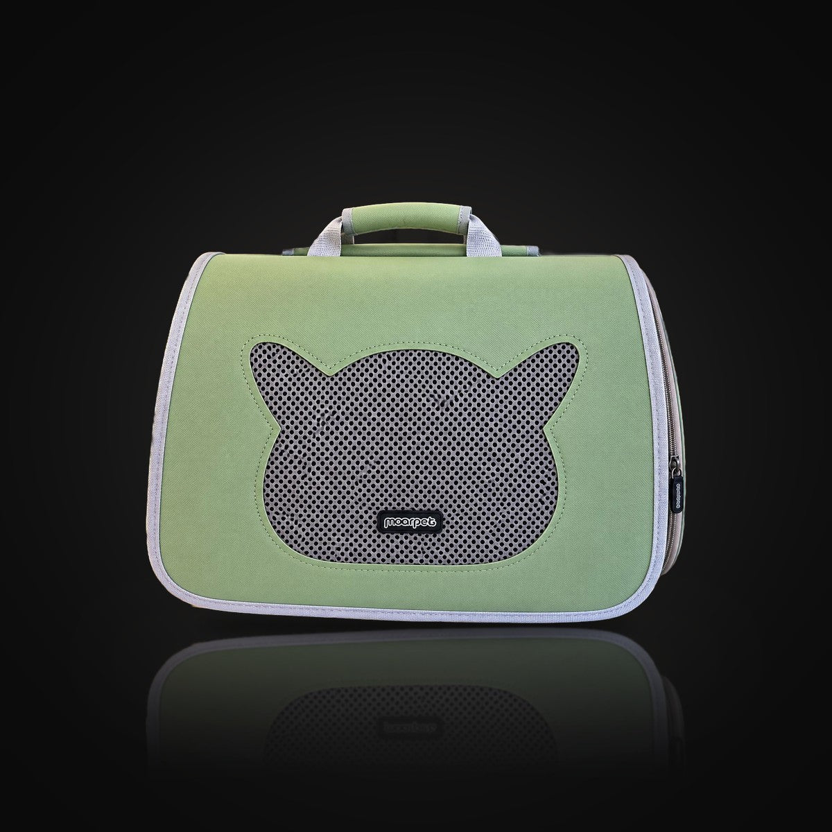 Morral Gato