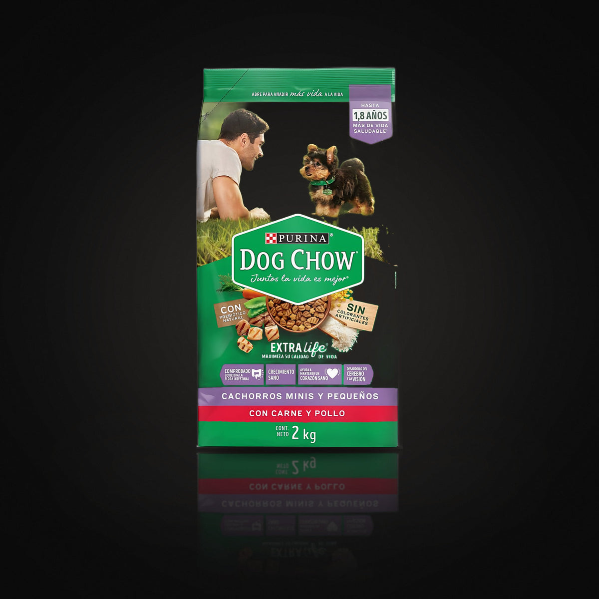 Dog Chow Cach Raz Peq x 475 g (morado)