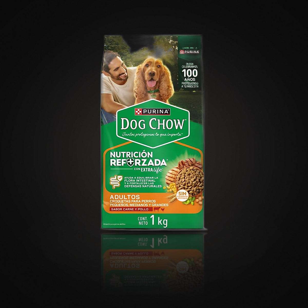 Dog Chow Nutricion Reforzada Todos los Tamaños x 85 g