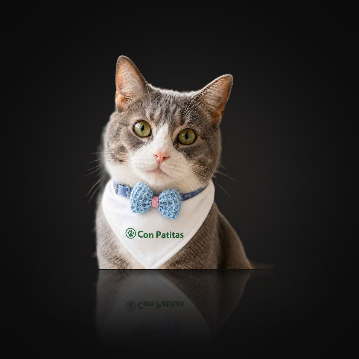 Collar Corbata